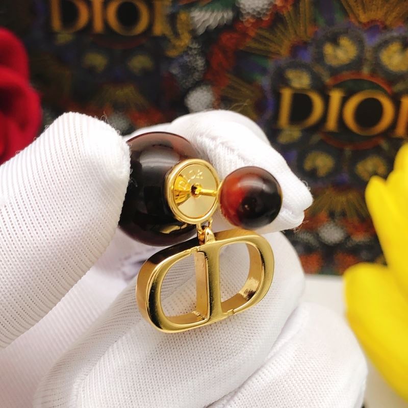 Christian Dior Earrings